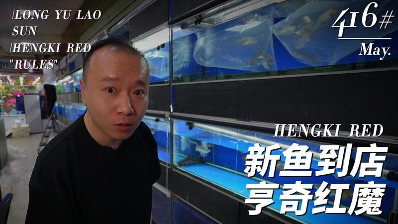 和興龍魚最出名的三個牌子，和興龍魚代理商名單大公開
