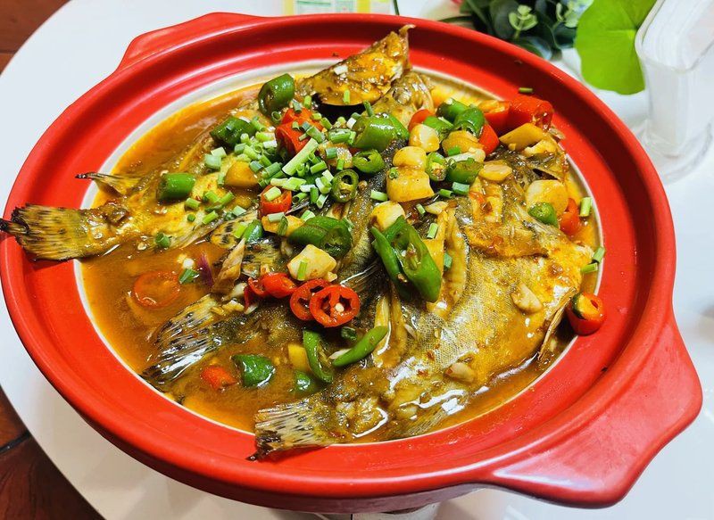 安慶龍魚店，安慶龍魚養(yǎng)殖與銷售