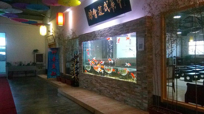 銀川魚缸定做，南寧上門定做觀賞型魚缸