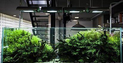 銀川魚缸定做，南寧上門定做觀賞型魚缸