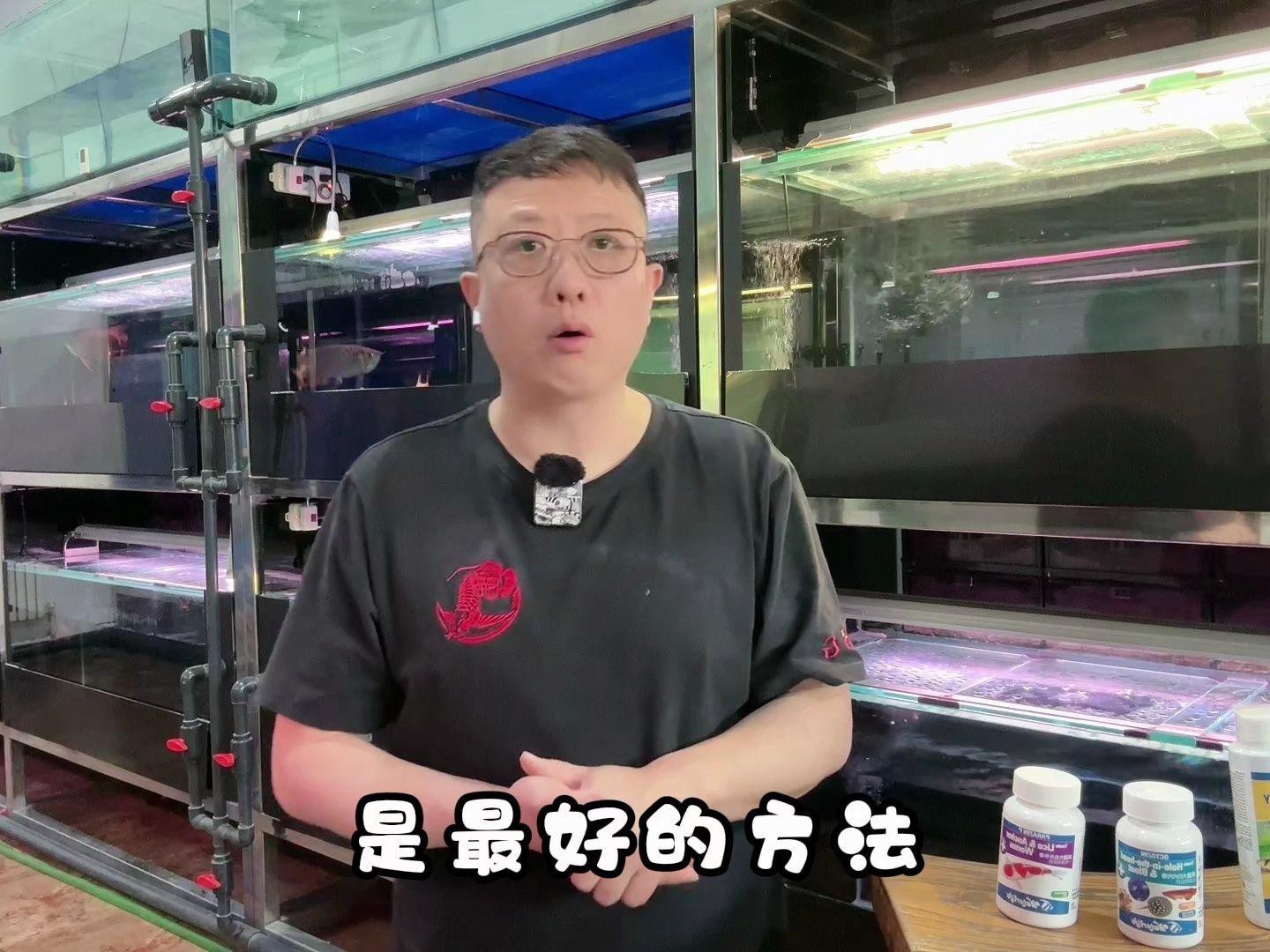 如何為龍魚(yú)進(jìn)行定期檢疫？，廣州龍魚(yú)祥龍魚(yú)場(chǎng)