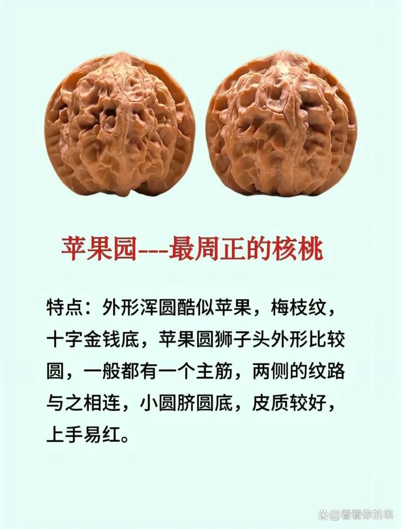 核桃分公母的圖片，《核桃分公母的圖片》核桃分公母的性別特征及鑒別方法