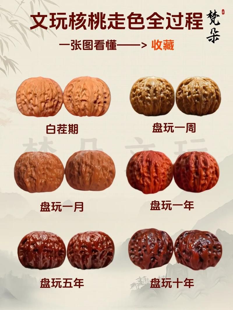 核桃分公母的圖片，《核桃分公母的圖片》核桃分公母的性別特征及鑒別方法