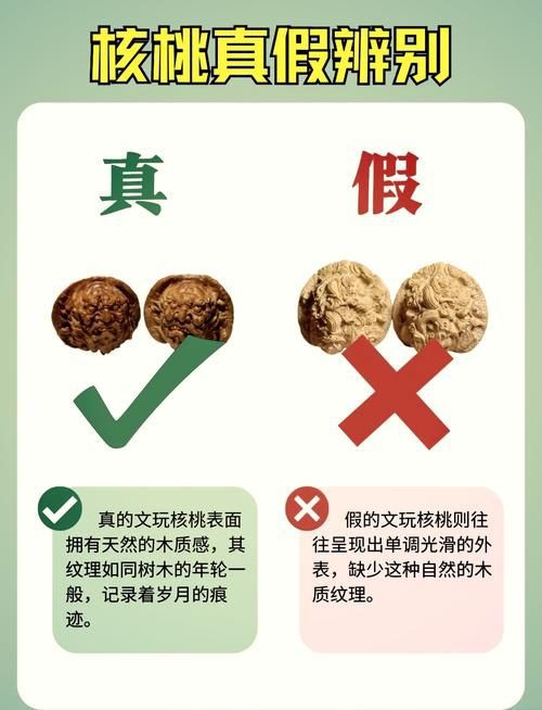 核桃分公母的圖片，《核桃分公母的圖片》核桃分公母的性別特征及鑒別方法