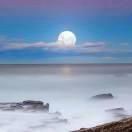 家里生小魚旺人預(yù)兆，家里養(yǎng)了一條魚，你有什么感受？