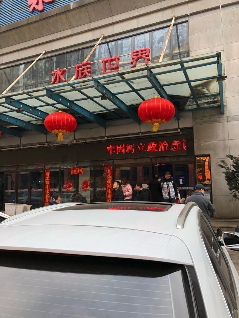 沈陽水族批發市場，探秘沈陽水族批發市場 沈陽水族批發市場，探秘沈陽水族批發市場 全國水族館企業名錄 第9張