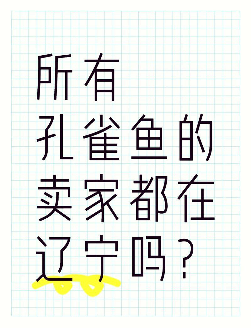 沈陽水族批發市場，探秘沈陽水族批發市場 沈陽水族批發市場，探秘沈陽水族批發市場 全國水族館企業名錄 第7張