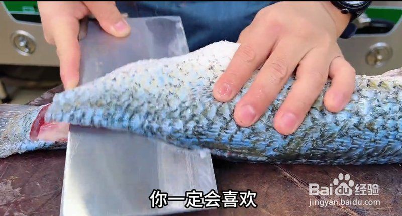 家常燉魚正確方法，《家常燉魚正確方法》