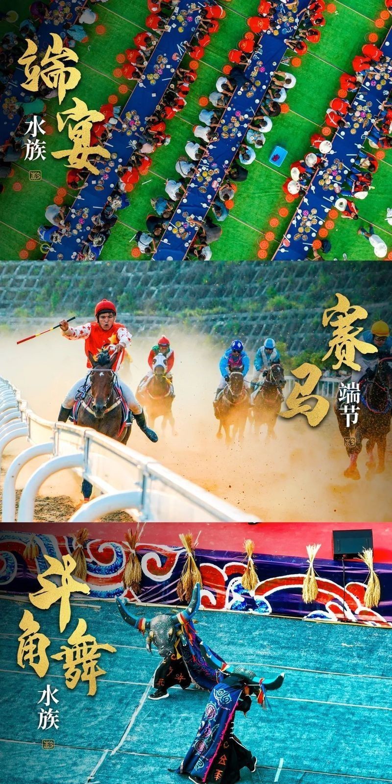 黔南布依族苗族自治州水族館,貴州水族文化博物館 全國(guó)水族館企業(yè)名錄 第10張 黔南布依族苗族自治州水族館,貴州水族文化博物館 黔南布依族苗族自治州水族館,貴州水族文化博物館 全國(guó)水族館企業(yè)名錄 第10張