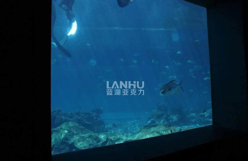 天津魚缸定做，天津魚缸定制服務
