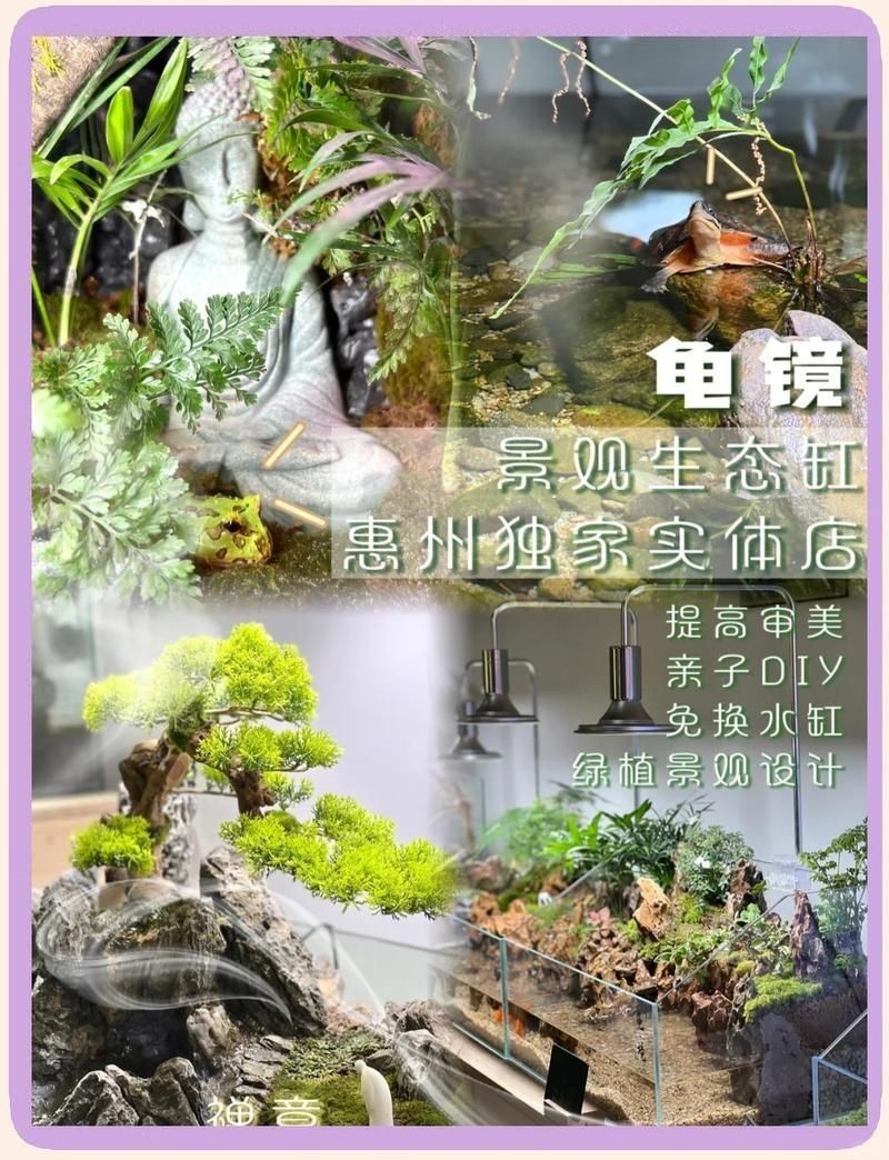 惠州魚缸店，惠州市惠陽區新圩鱻源魚缸店怎么樣
