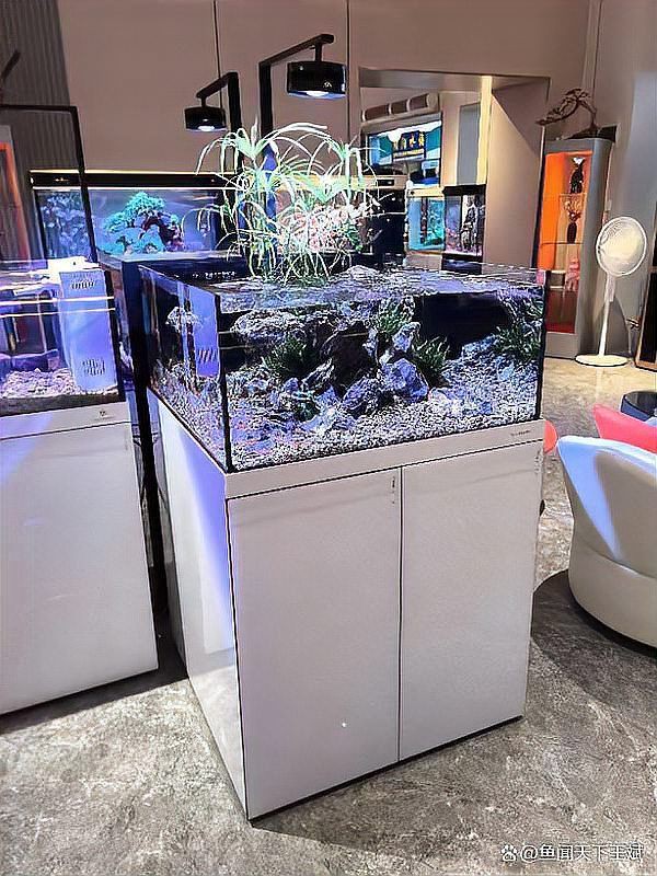 惠州魚缸店，惠州市惠陽區新圩鱻源魚缸店怎么樣