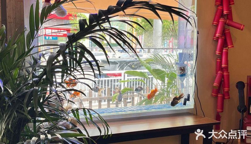 惠州魚缸店，惠州市惠陽區新圩鱻源魚缸店怎么樣