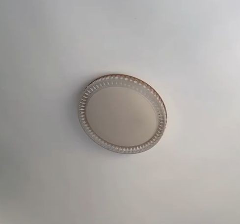 香港水族批發市場,香港仔魚類批發市場 全國水族館企業名錄 第10張 香港水族批發市場,香港仔魚類批發市場 香港水族批發市場,香港仔魚類批發市場 全國水族館企業名錄 第10張