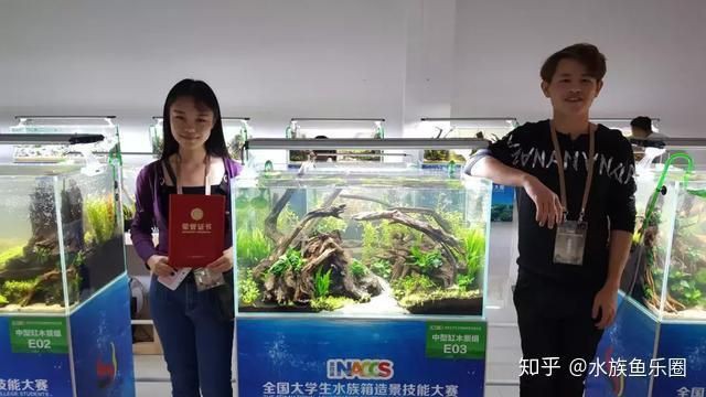 香港水族批發市場,香港仔魚類批發市場 全國水族館企業名錄 第12張 香港水族批發市場,香港仔魚類批發市場 香港水族批發市場,香港仔魚類批發市場 全國水族館企業名錄 第12張
