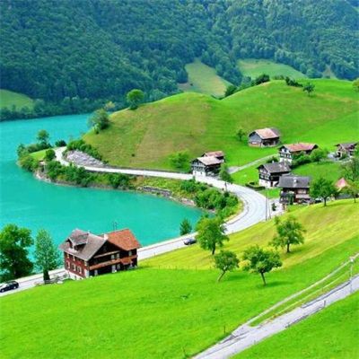 香港水族批發市場,香港仔魚類批發市場 全國水族館企業名錄 第6張 香港水族批發市場,香港仔魚類批發市場 香港水族批發市場,香港仔魚類批發市場 全國水族館企業名錄 第6張