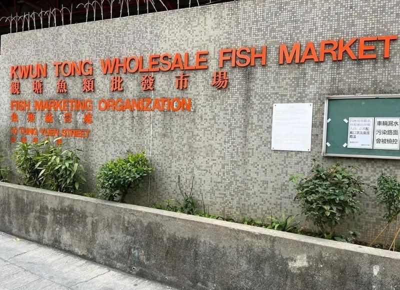 香港水族批發市場,香港仔魚類批發市場 全國水族館企業名錄 第9張 香港水族批發市場,香港仔魚類批發市場 香港水族批發市場,香港仔魚類批發市場 全國水族館企業名錄 第9張