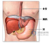 土霉素對哪些龍魚疾病有效？，土霉素對龍魚有什么作用