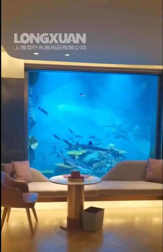 70厘米水位飼養(yǎng)龍魚需要哪些裝飾物？，70厘米水位飼養(yǎng)龍魚所需的裝飾品