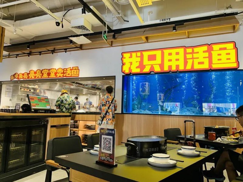 成安龍魚店，成安龍魚店有哪些品種