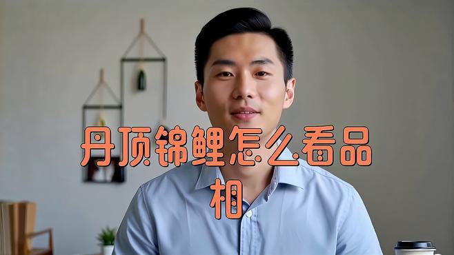 丹頂錦鯉多少錢一只，丹頂錦鯉多少錢一條