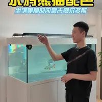工布江達龍魚店，工布江達地區的“龍魚店”是當地特色餐飲的代表之一