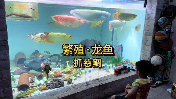 工布江達龍魚店，工布江達地區的“龍魚店”是當地特色餐飲的代表之一