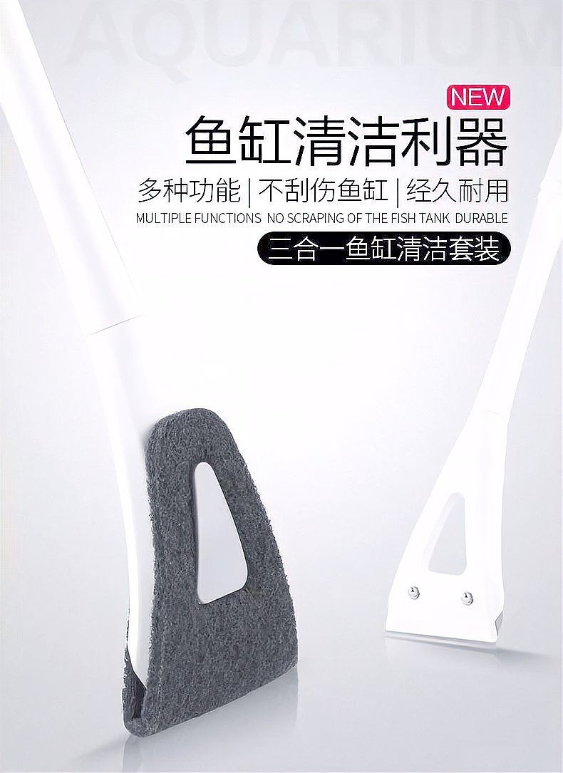 珠海魚缸維護(hù)，珠海魚缸專業(yè)維護(hù)全攻略