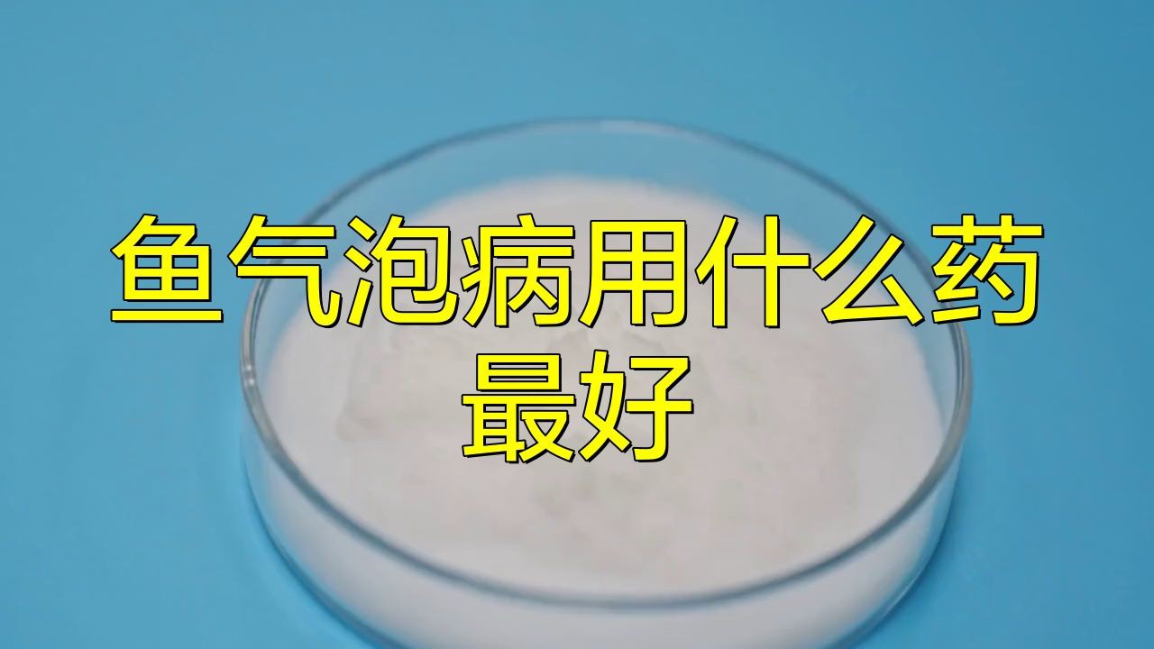 有哪些藥物可以有效治療龍魚水泡??？，魚氣泡病用什么藥最好養生藥庫