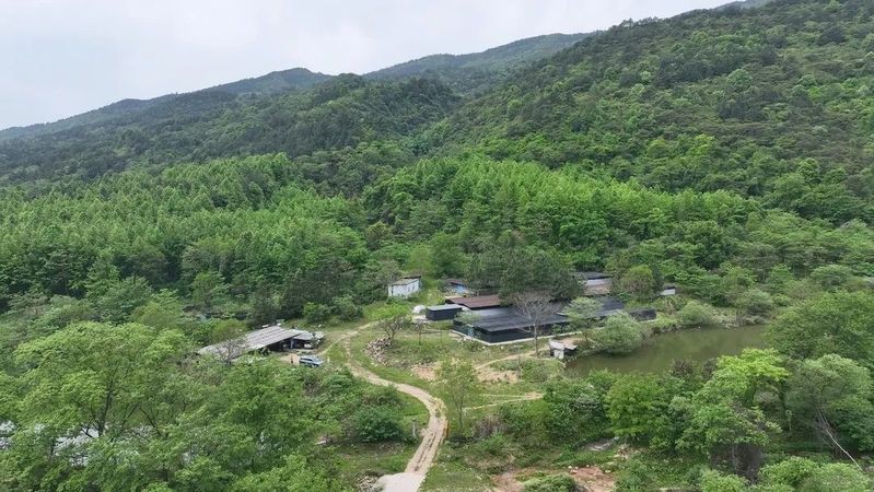 永新龍魚店，永新龍魚店仿生態養殖成為當地增收的新路徑