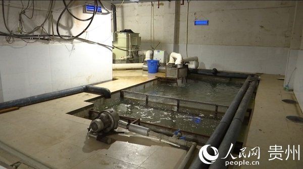 遵義水族批發市場,遵義最大的水產市場 全國水族館企業名錄 第1張 遵義水族批發市場,遵義最大的水產市場 遵義水族批發市場,遵義最大的水產市場 全國水族館企業名錄 第1張