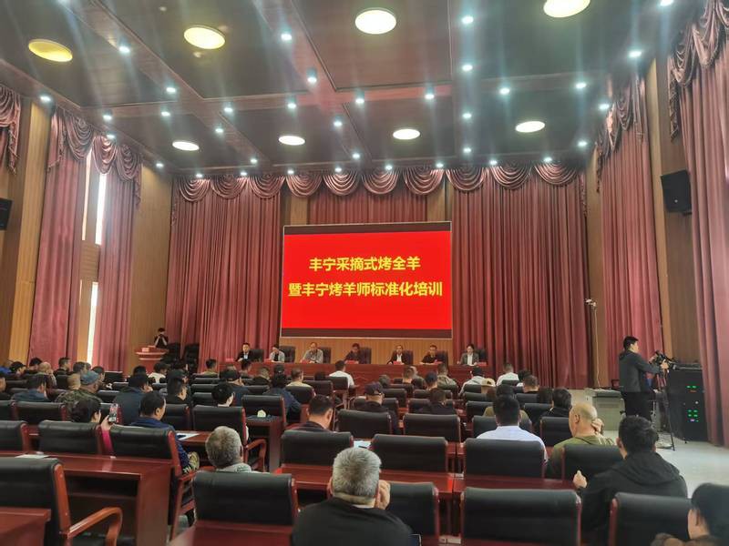 豐寧龍魚店，豐寧龍魚店豐寧龍魚店哪家評價最好哪家評價最好