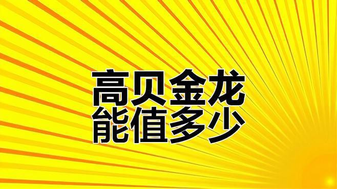 如何區分B過金龍魚和高背金龍魚？，b過金龍魚與高背金龍魚怎樣區分金龍魚與高背金龍魚的區別 如何區分B過金龍魚和高背金龍魚？，b過金龍魚與高背金龍魚怎樣區分金龍魚與高背金龍魚的區別 龍魚論壇 第9張
