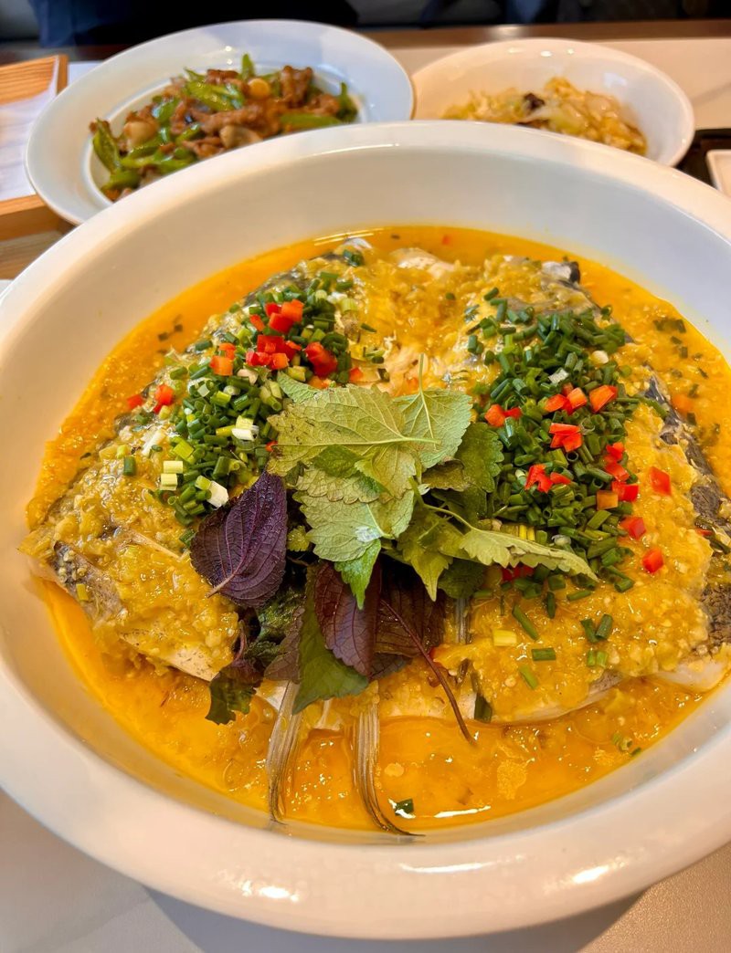 十堰龍魚店，十堰百年老店【黃龍魚頭】沉浸式場景矩陣