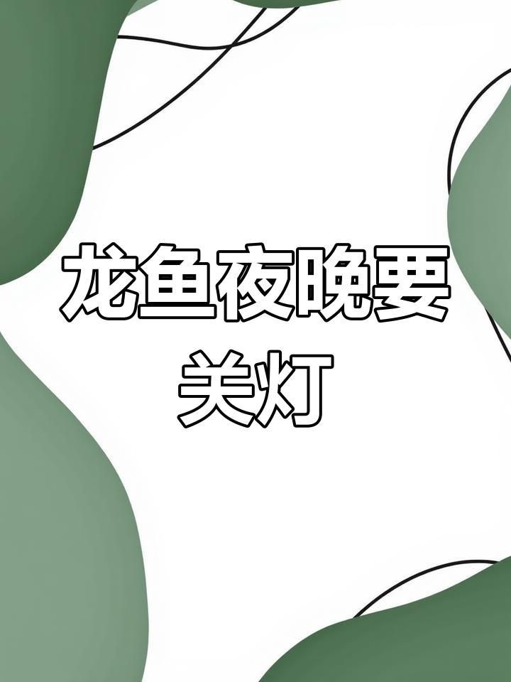 養(yǎng)紅龍魚晚上關(guān)不關(guān)燈，養(yǎng)紅龍魚晚上關(guān)燈對龍魚有害嗎如何正確飼養(yǎng)金龍紅龍