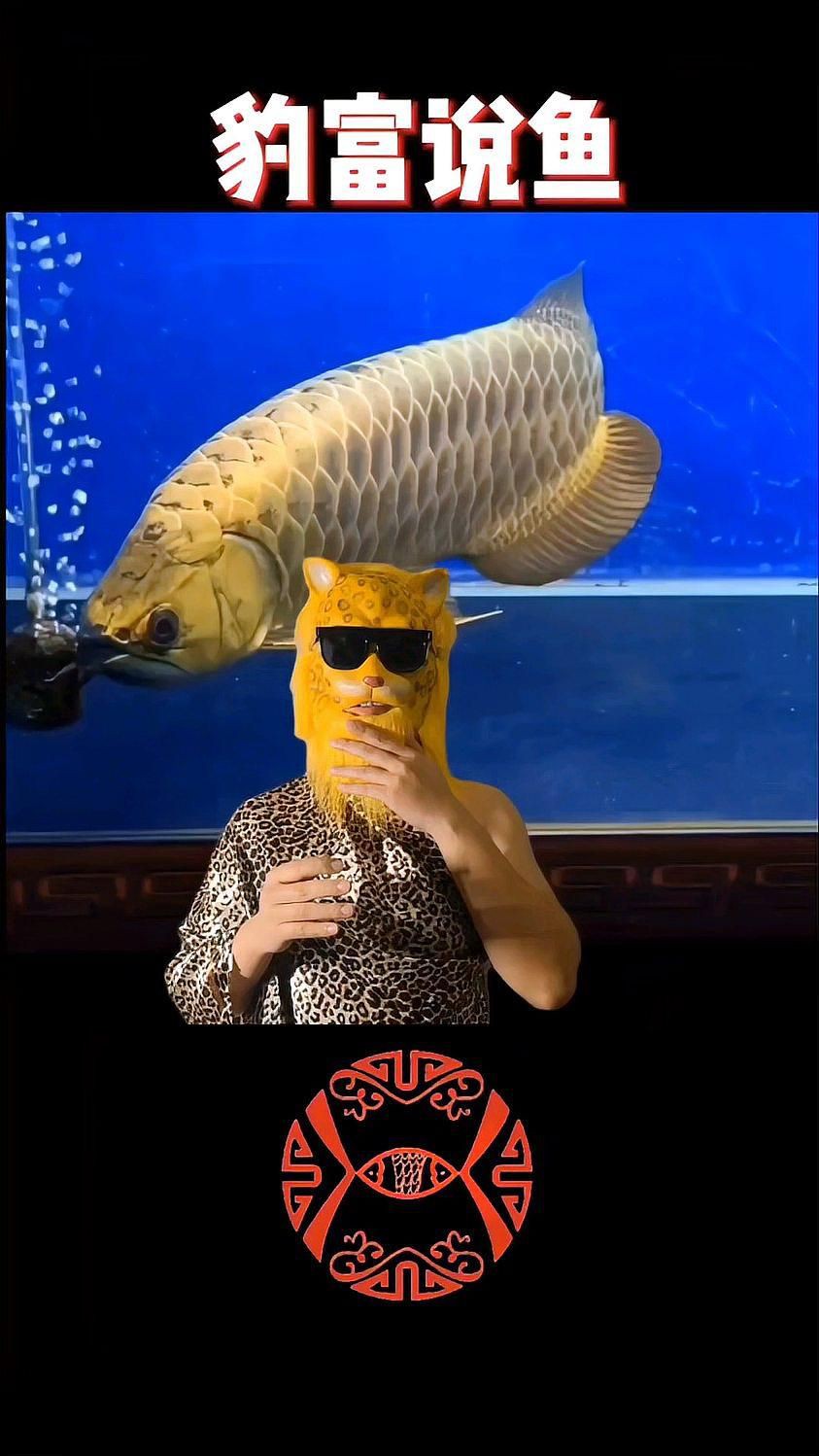 養(yǎng)紅龍魚晚上關(guān)不關(guān)燈，養(yǎng)紅龍魚晚上關(guān)燈對龍魚有害嗎如何正確飼養(yǎng)金龍紅龍