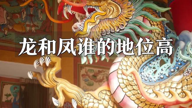 鳳凰與龍有何區(qū)別？，《鳳凰與龍有何區(qū)別》鳳凰和龍的寓意和象征意義有哪些 鳳凰與龍有何區(qū)別？，《鳳凰與龍有何區(qū)別》鳳凰和龍的寓意和象征意義有哪些 龍魚論壇 第6張
