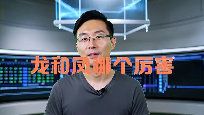 鳳凰與龍有何區(qū)別？，《鳳凰與龍有何區(qū)別》鳳凰和龍的寓意和象征意義有哪些 鳳凰與龍有何區(qū)別？，《鳳凰與龍有何區(qū)別》鳳凰和龍的寓意和象征意義有哪些 龍魚論壇 第5張