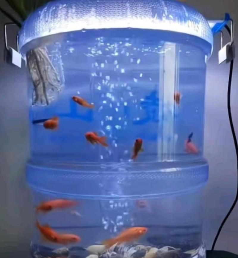 通遼魚缸定做，通遼地區的魚缸定做服務融合了個性化設計與實用功能