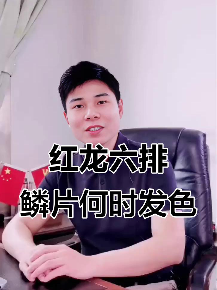 如何判斷紅龍是否健康發色？，原龍工作室-將軍、巴婁紅龍魚第六排鱗片發色時機揭秘