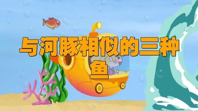 類似河豚的魚，《類似河豚的魚》