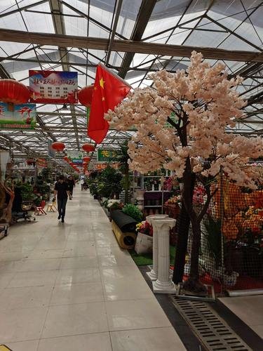 寶豐水族店，寶豐水族店哪家口碑最好