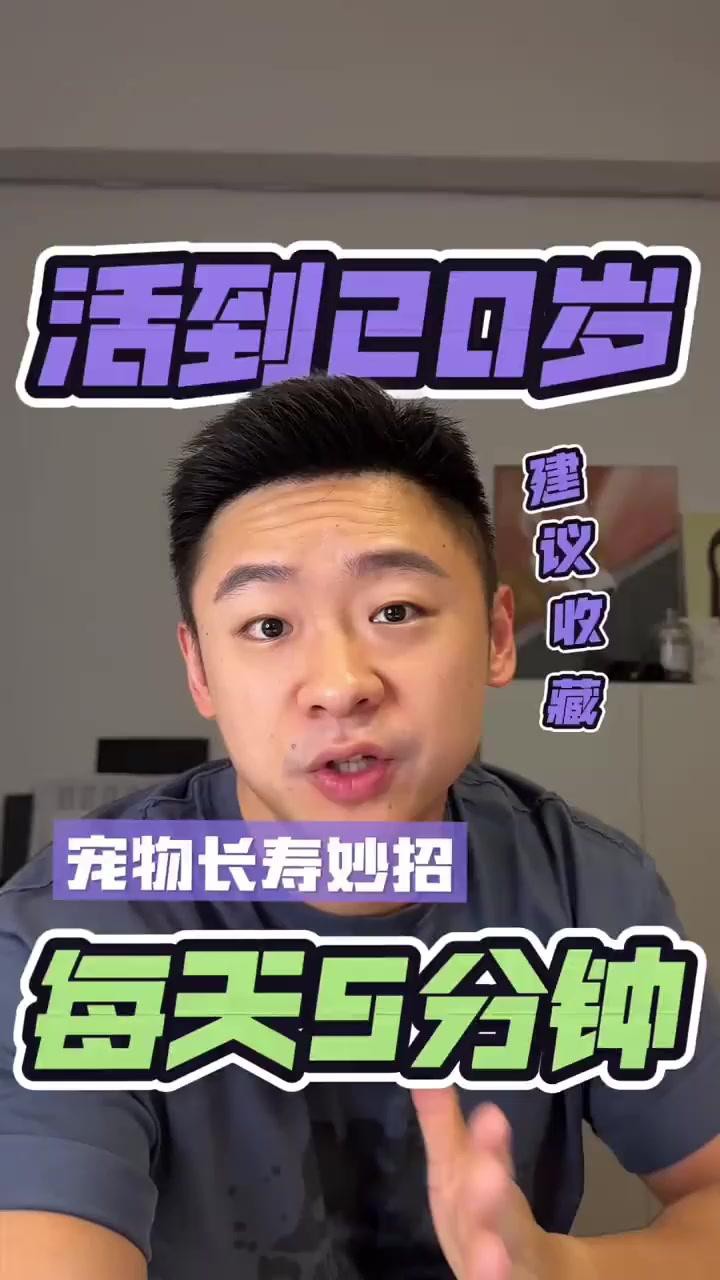 如何延長龍貓和貓的壽命？，萌寵解說show龍貓壽命有多長長壽小妙招