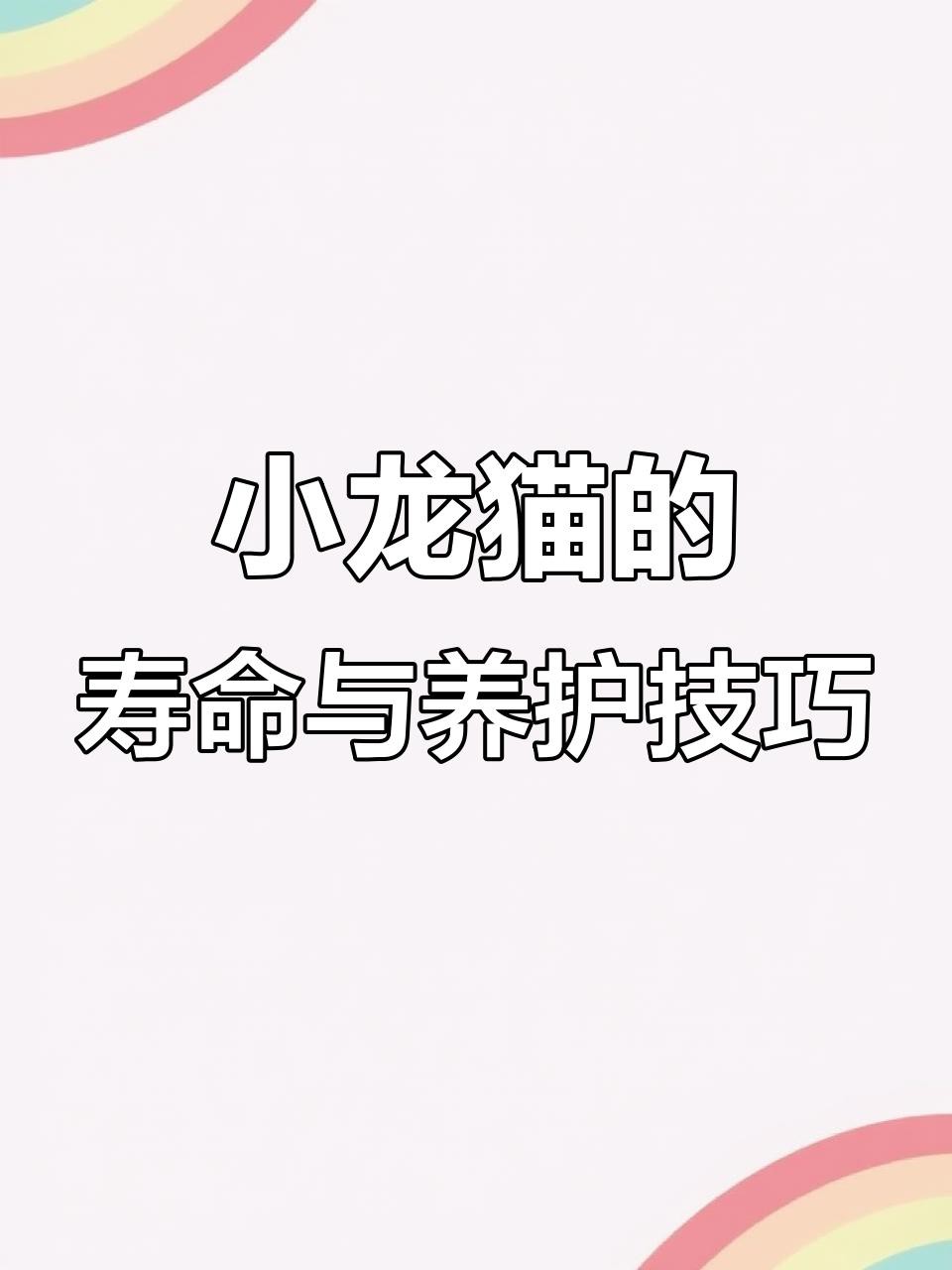 如何延長龍貓和貓的壽命？，萌寵解說show龍貓壽命有多長長壽小妙招