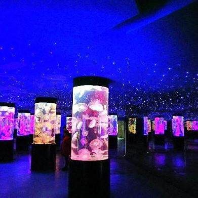 銅仁水族店，關于“銅仁水族店”的介紹