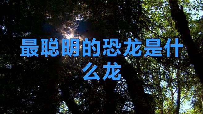 十大最強恐龍中哪個最有智慧？，十大最強恐龍中哪個最有智慧，傷齒龍是什么龍舞十一檔案庫