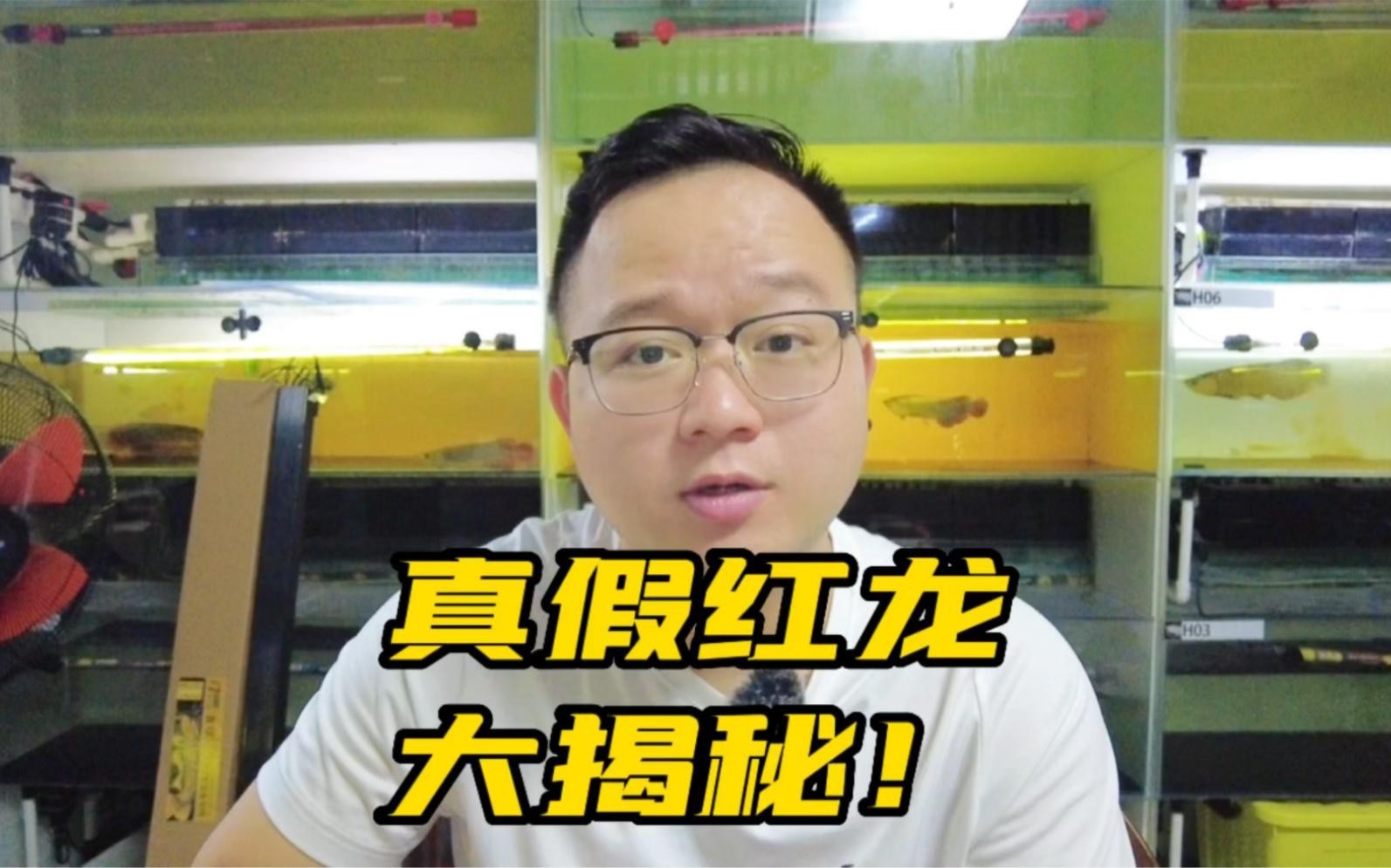 如何辨別真假紅龍魚，《如何辨別真假紅龍魚》