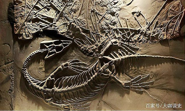 四角龍化石是如何被發現的？，四角龍化石是否真實存在？