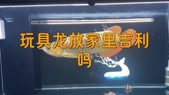 如何化解龍擺件的禁忌？，《如何化解龍擺件的禁忌》龍擺件的寓意和風水作用