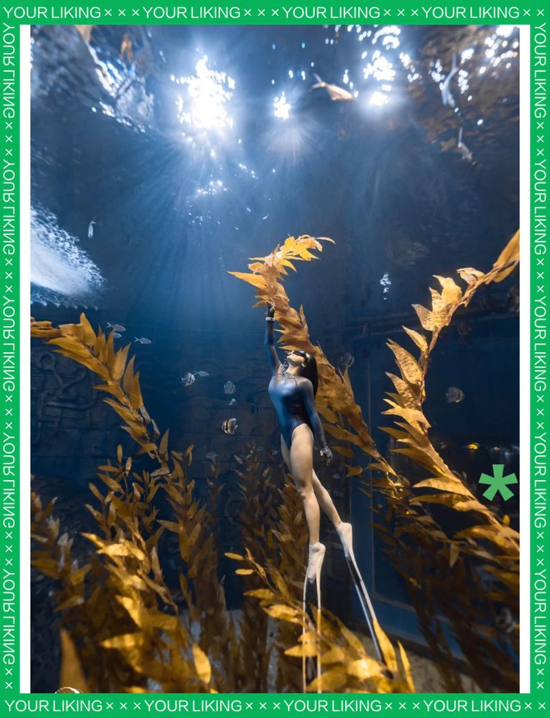 桂林水族店，桂林水族店經營范圍